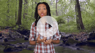 Click to see why Dictionary.com chose 'fortitude' as the Word of the Day.